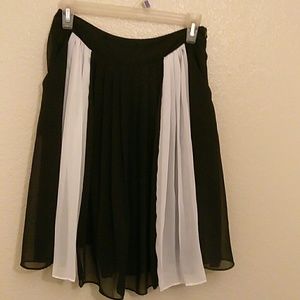 Sheer Pleated Skirt